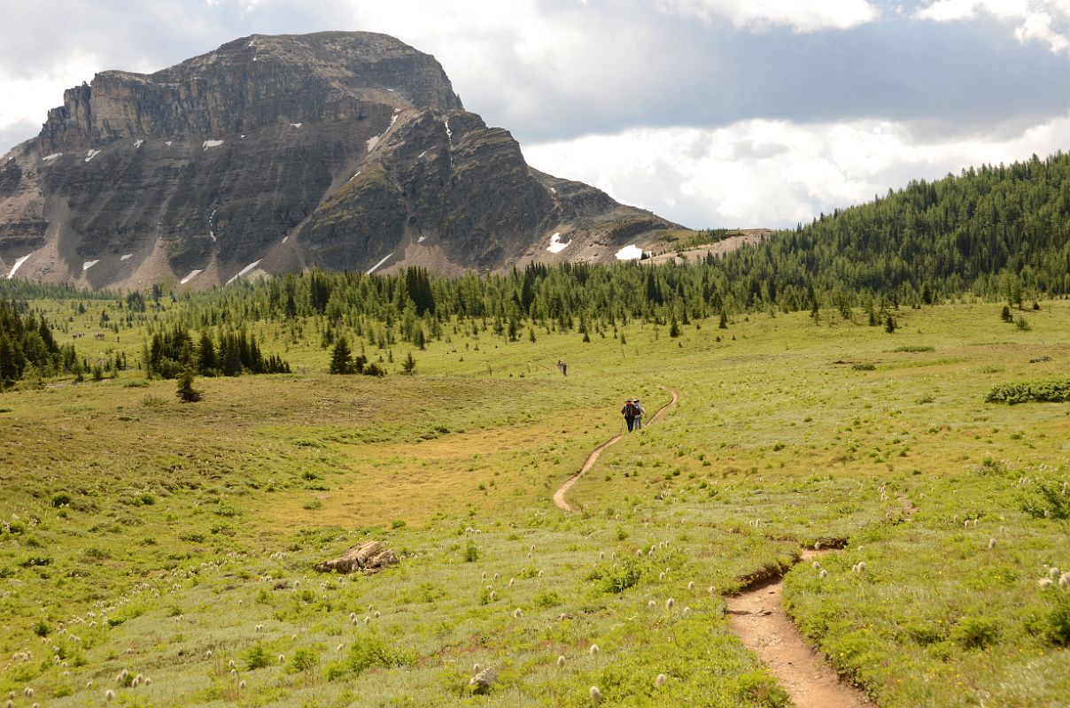 15 Trekking Through Meadow Towards Citadel Peak On Hike To Mount Assiniboine